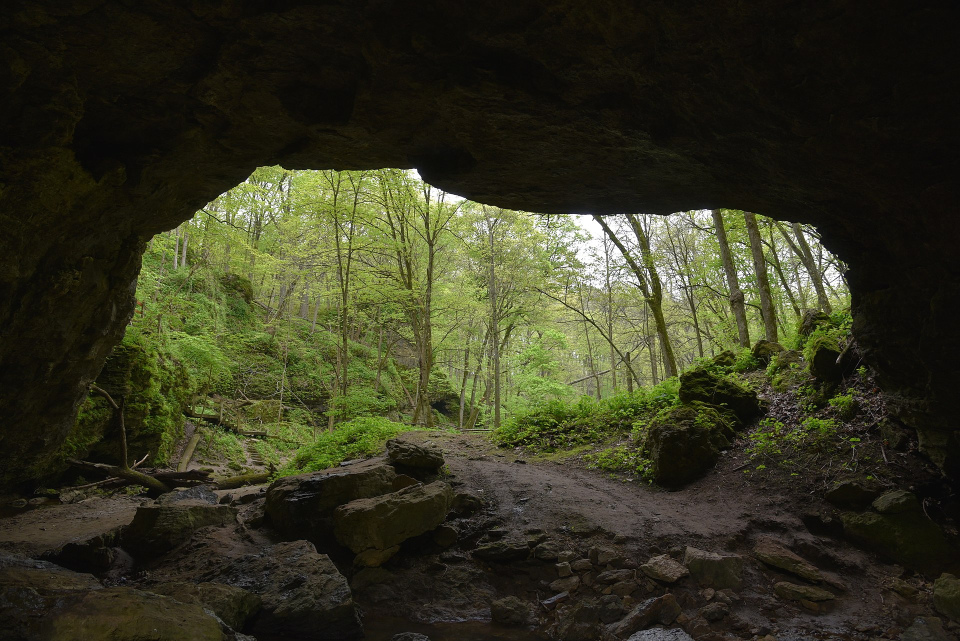 Maquoketa Caves State Park