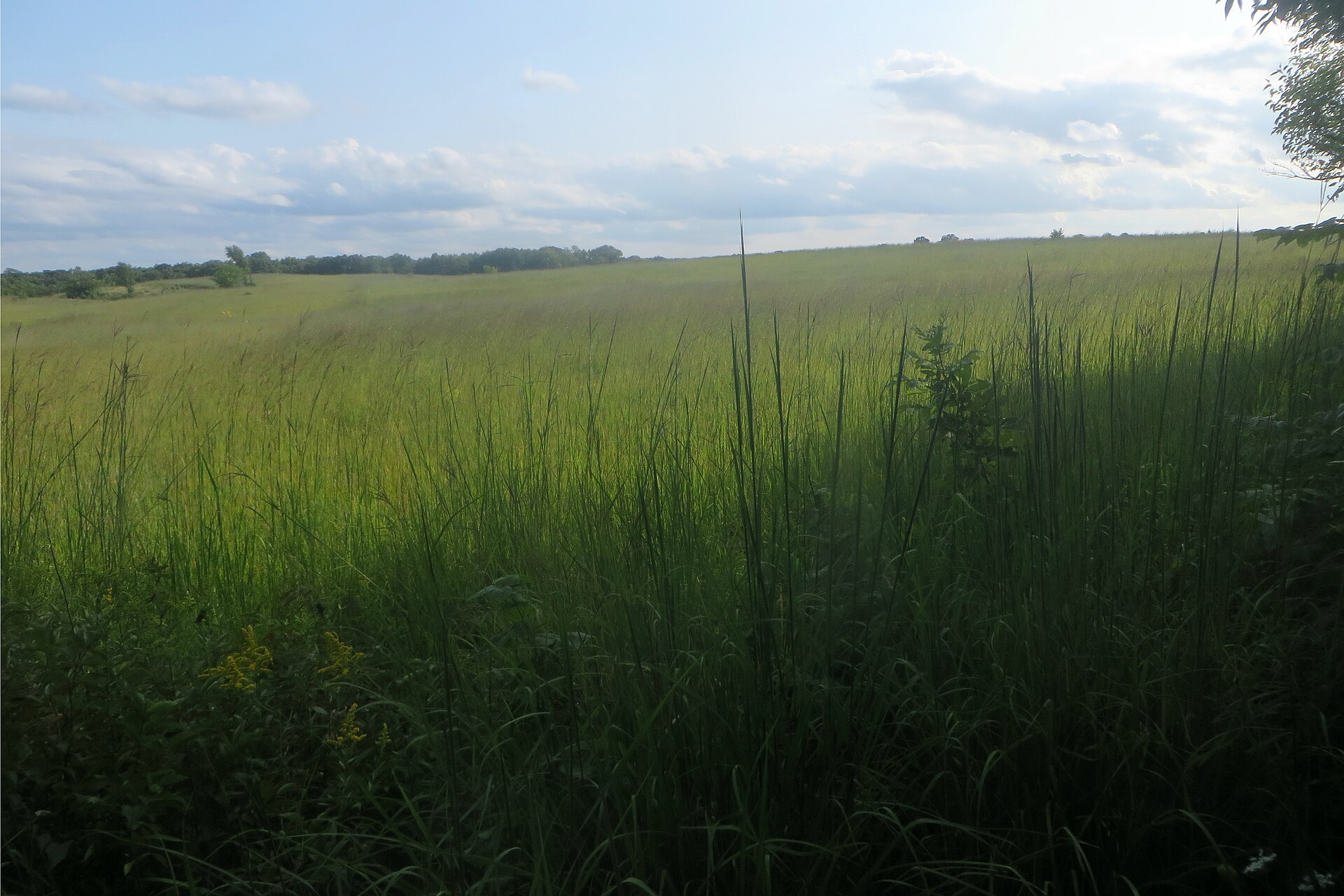 Chain O'Lakes State Park