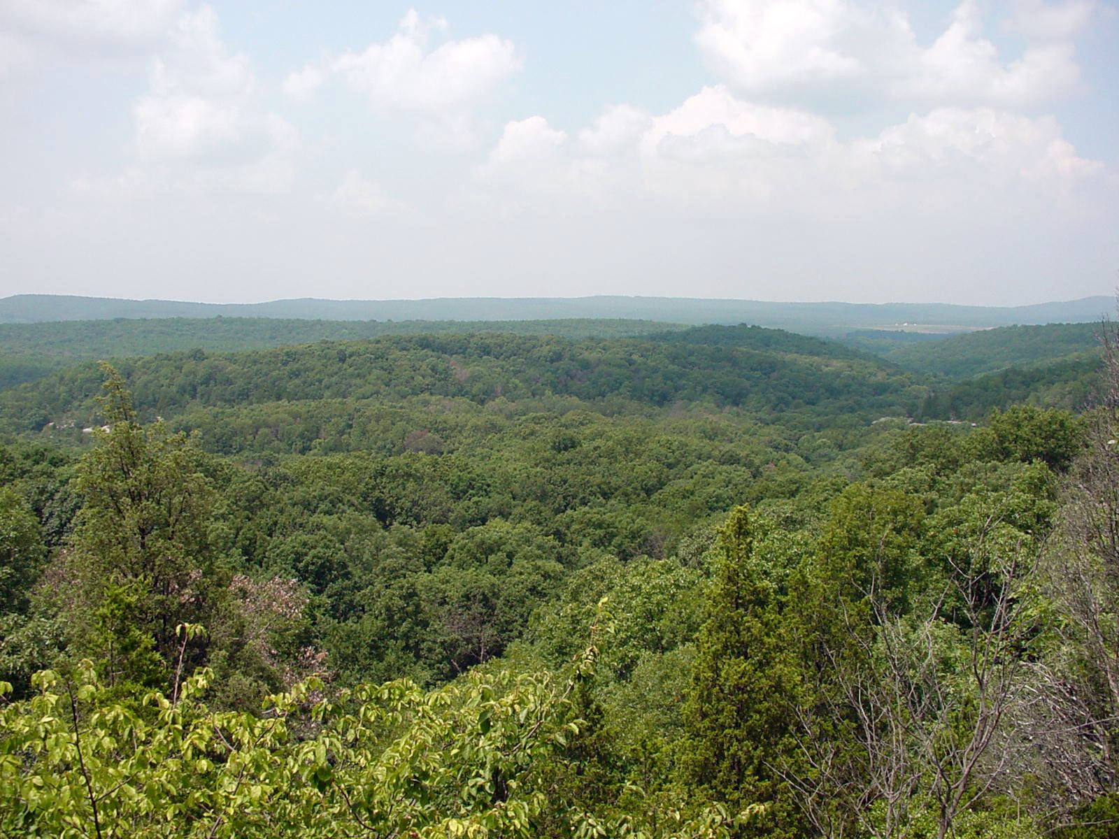 Shawnee National Forest