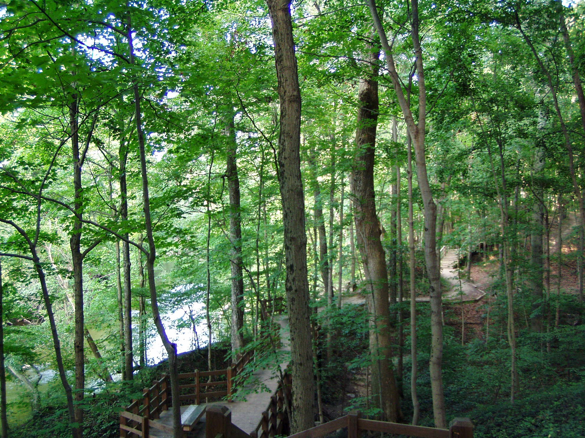 Fall Creek Boardwalk