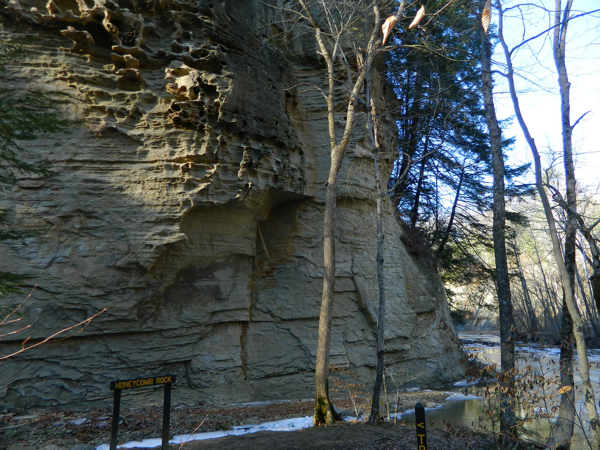 Honeycomb Rock, a rock formation in Pine Hills Nature Preserve