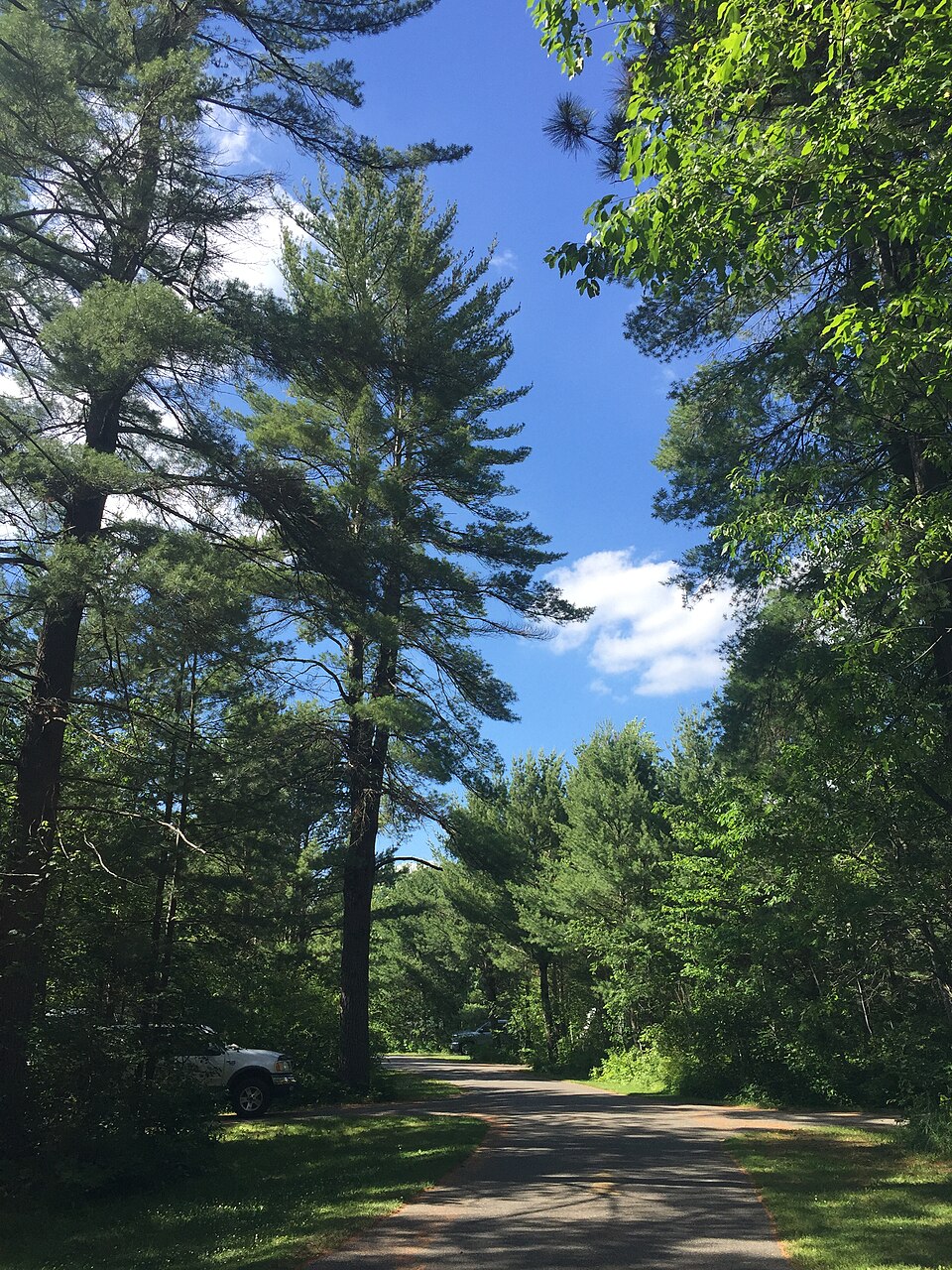 Campground in Hartwick Pines State Park