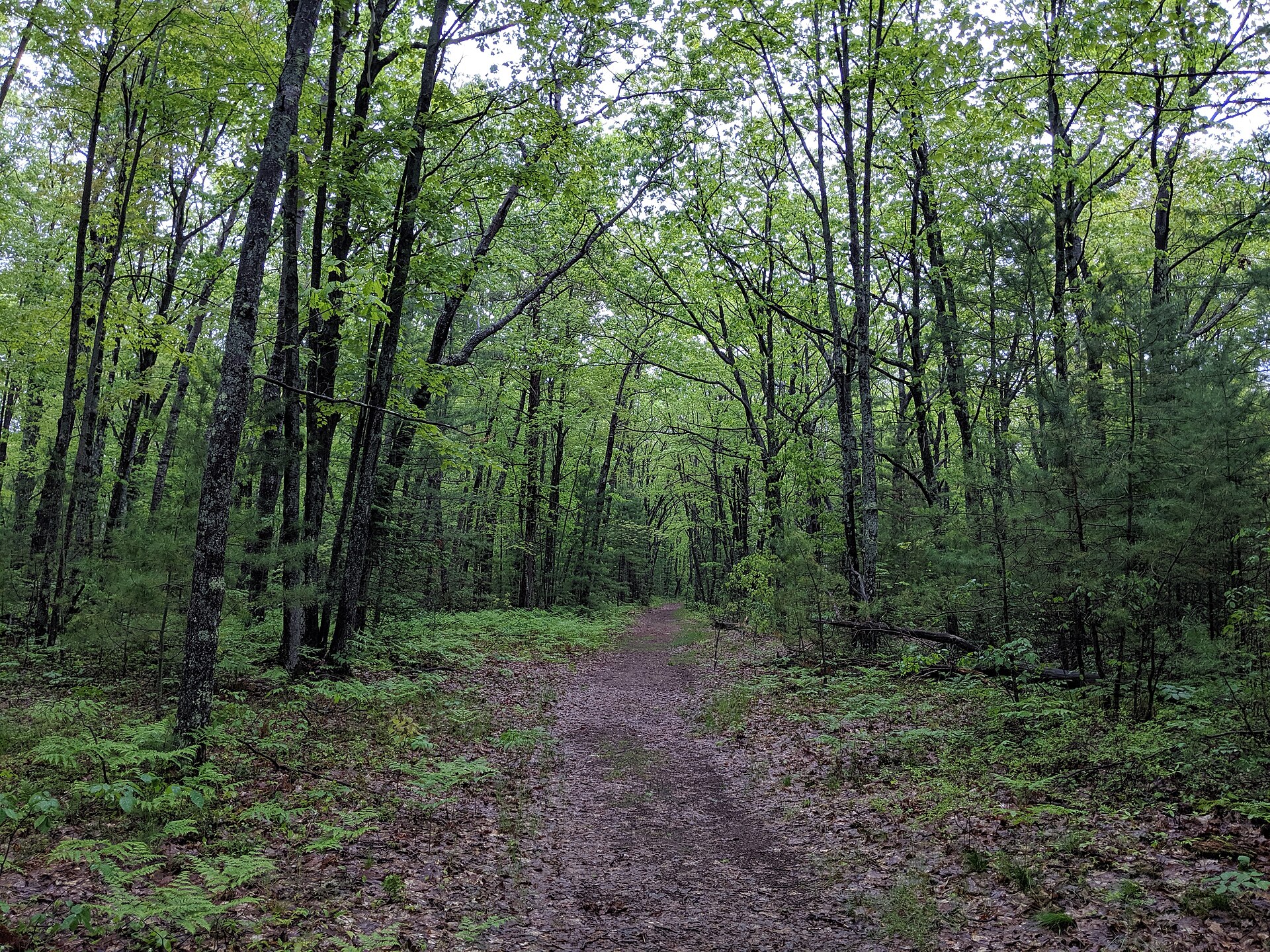 The main hiking trail out of the parking lot