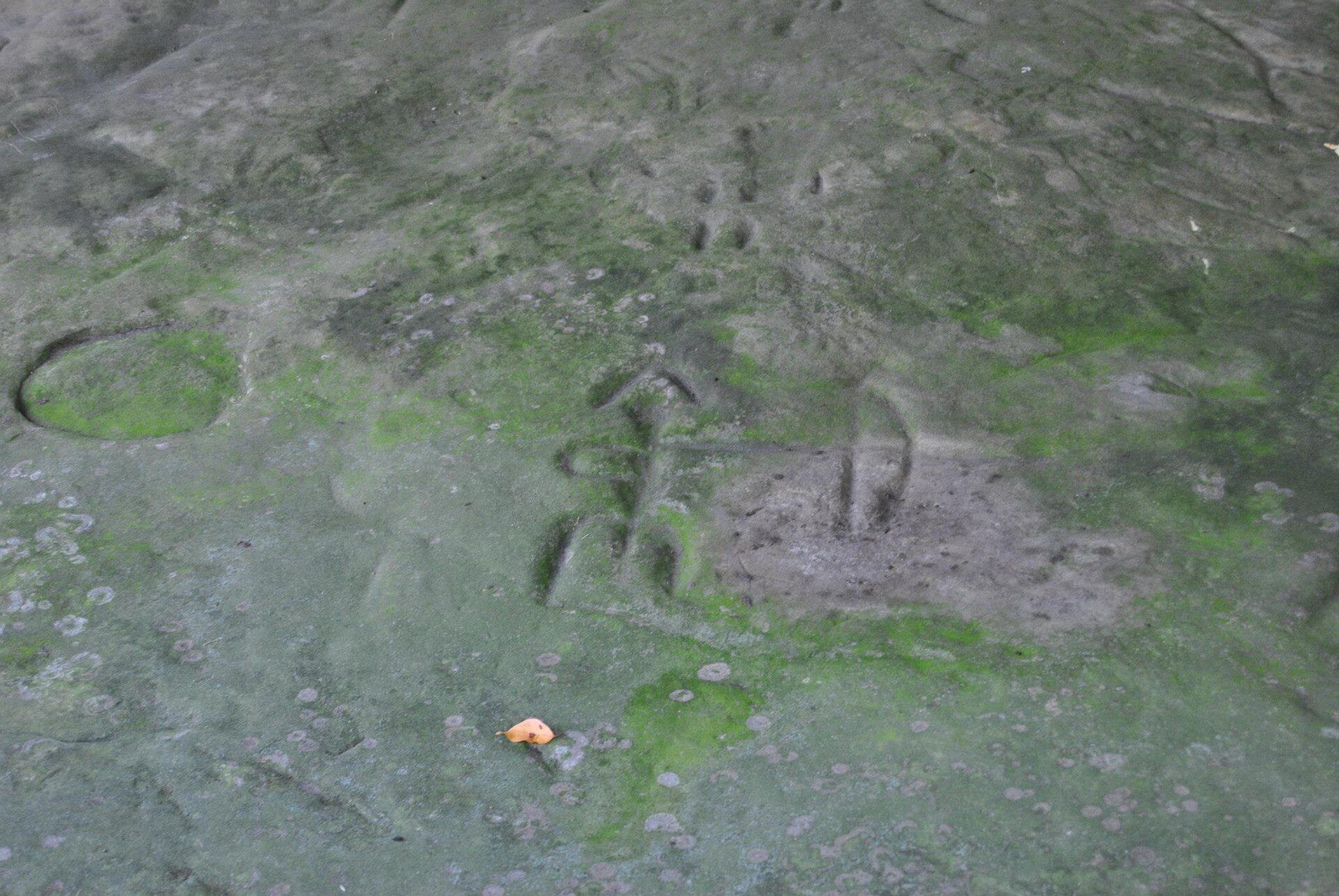 Sanilac Petroglyphs Historic State Park