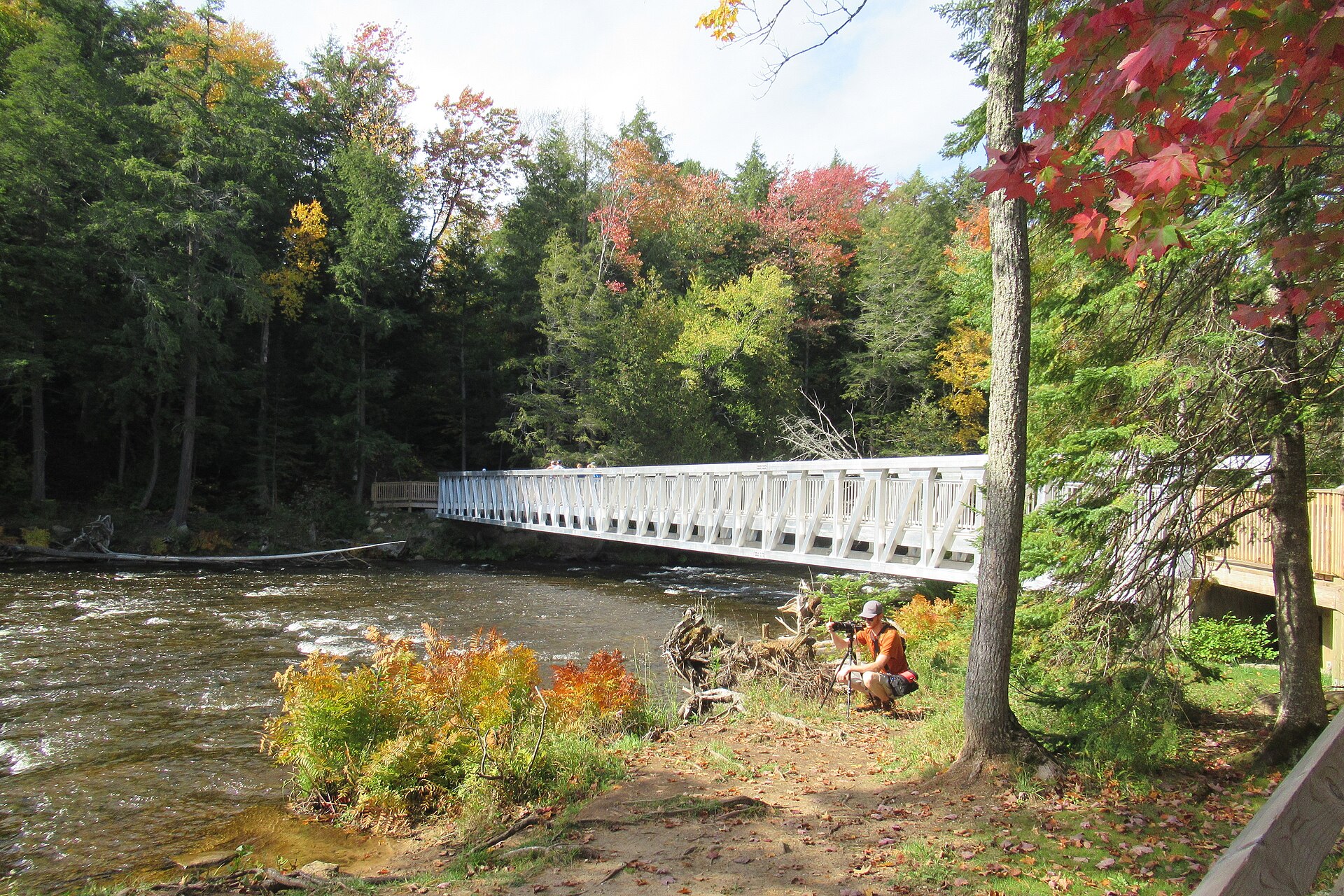 Ronald A. Olson Island Bridge