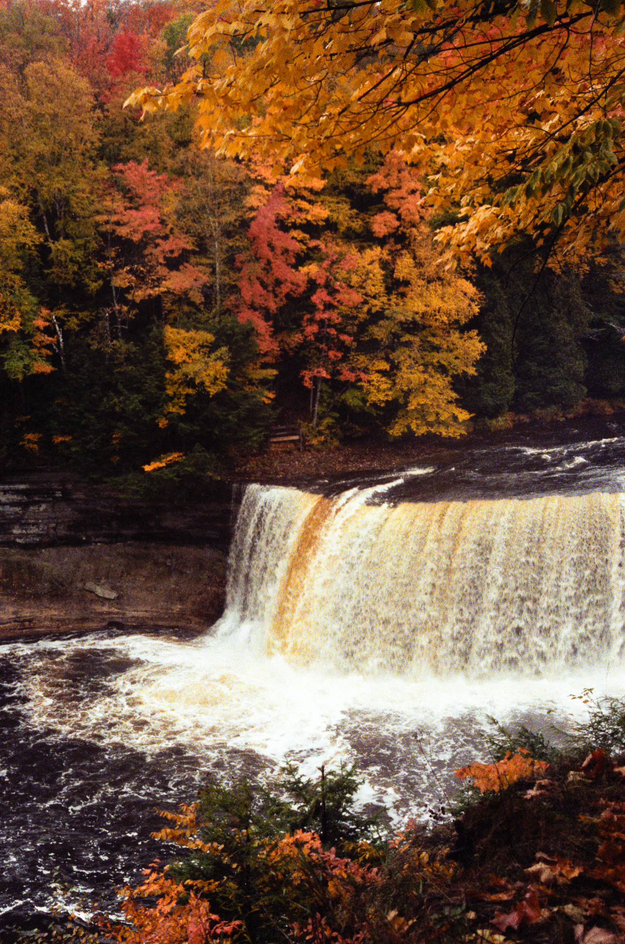 Tahquamenon Falls State Park