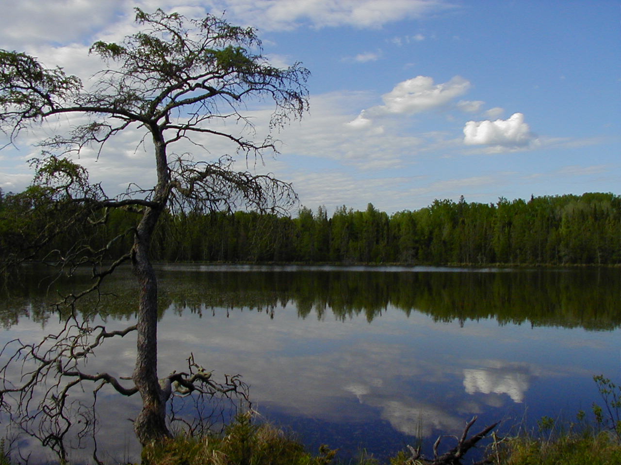 Lake Bemidji State Park