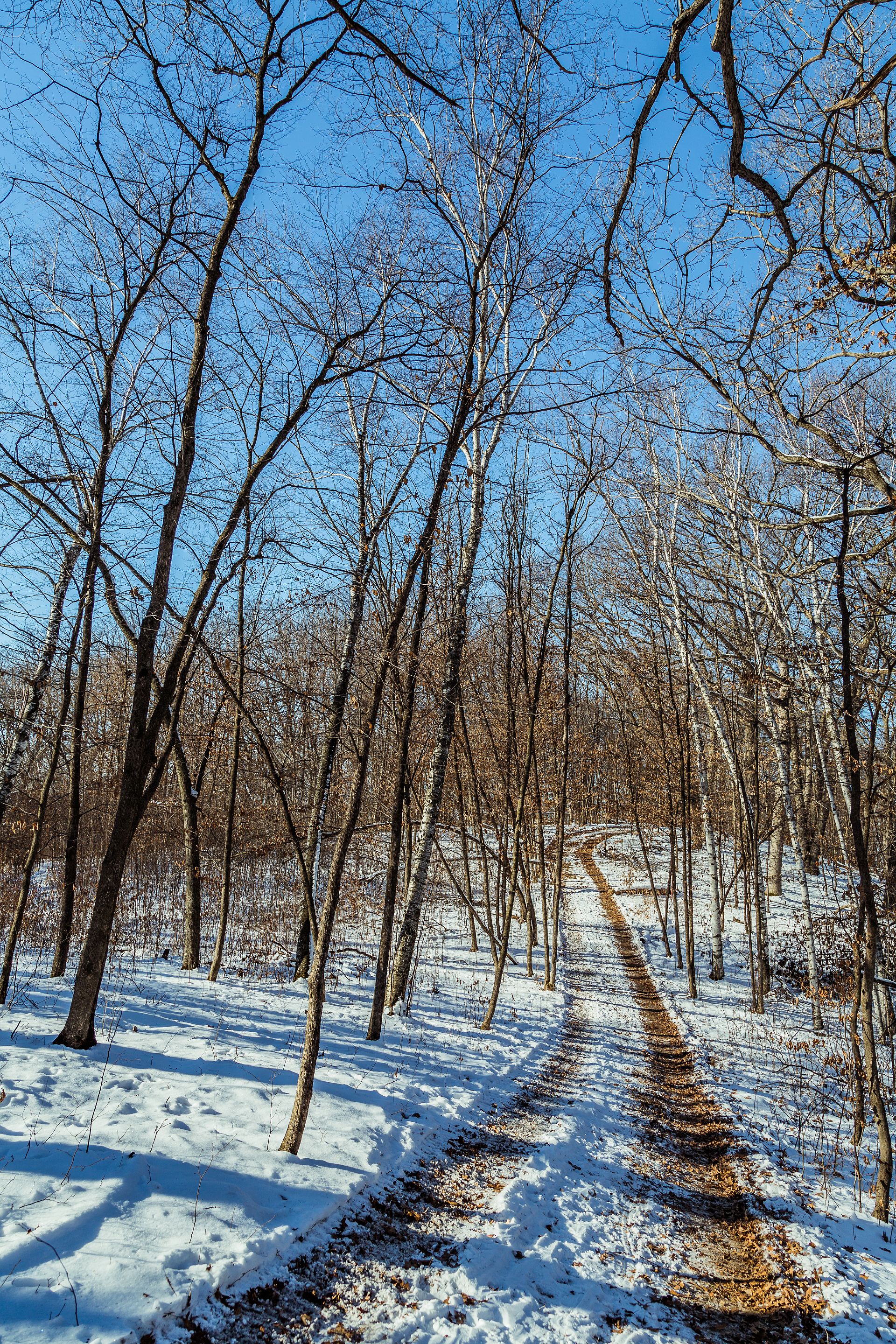 Lake Maria State Park in winter