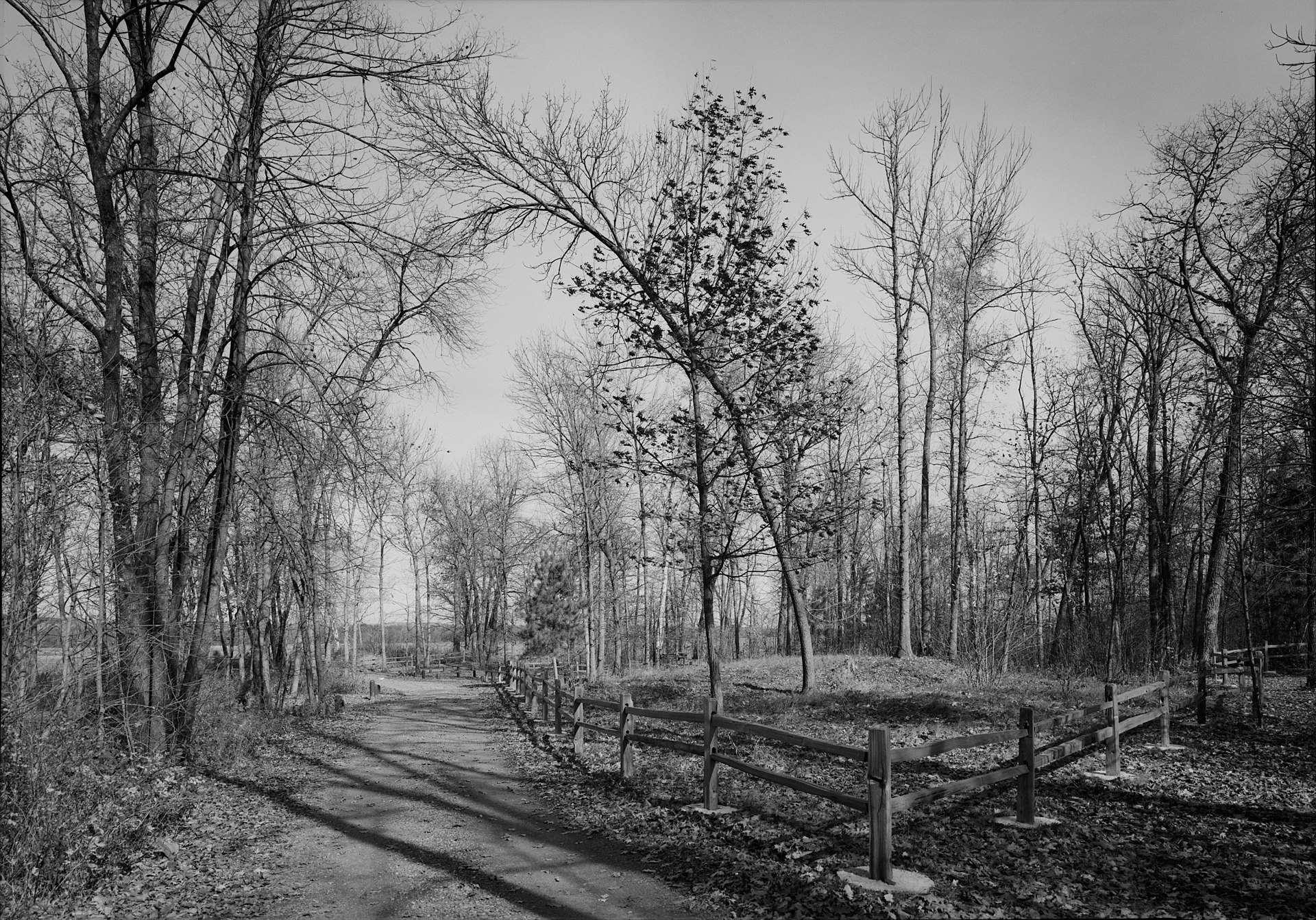 Native burial mounds