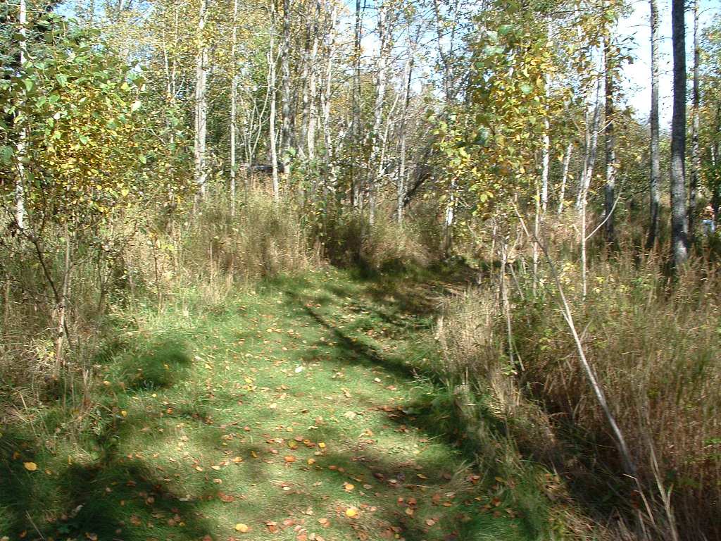 A hiking trail in the park
