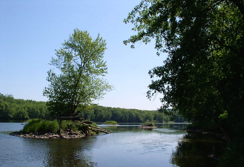 Wild River State Park