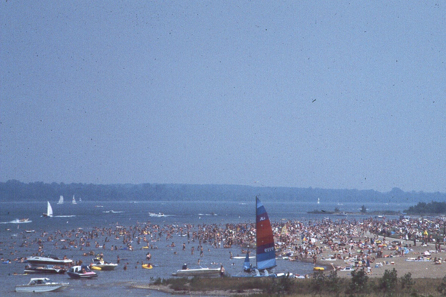 A busy day at the beach