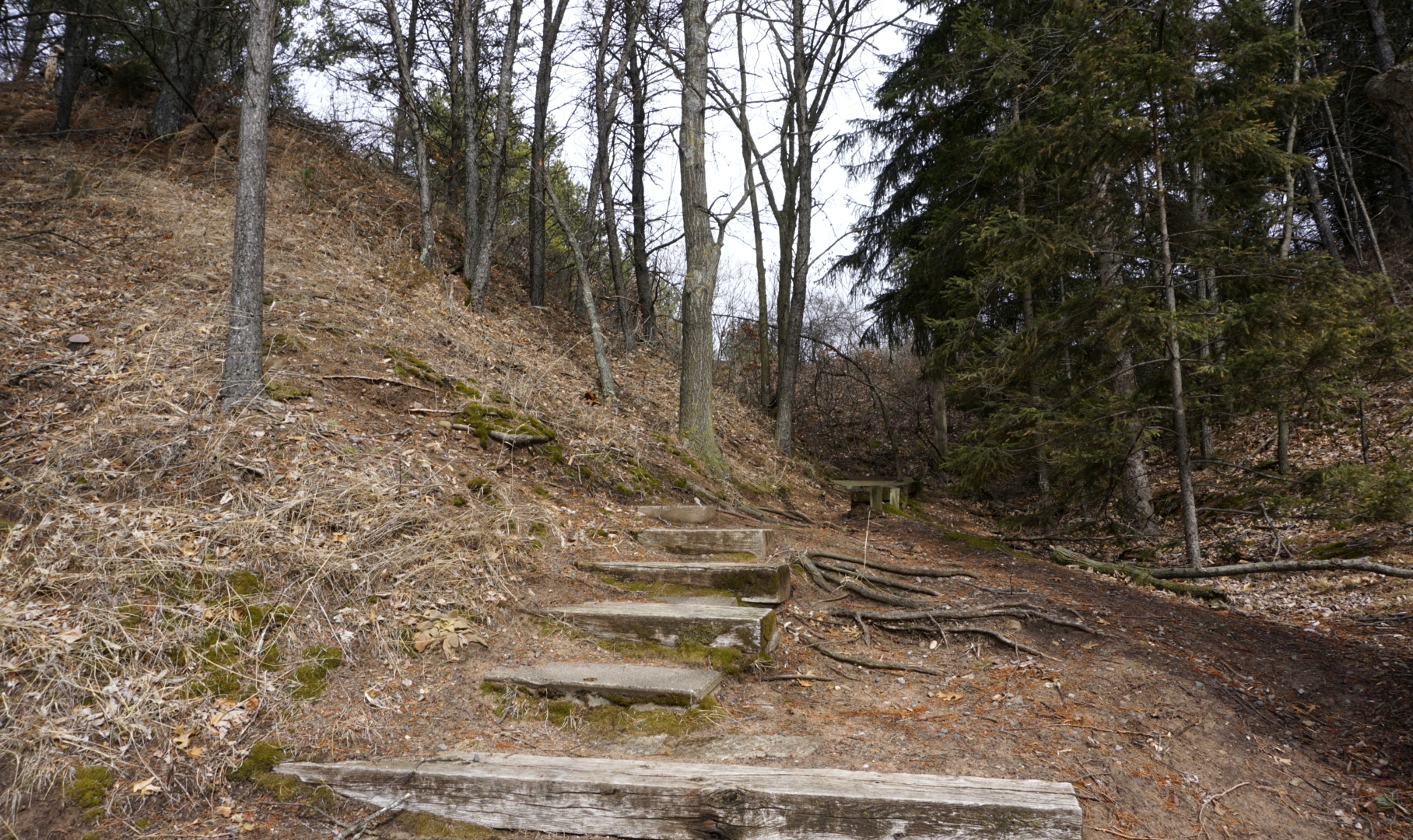 Stairway down to the water's edge near the Overlook