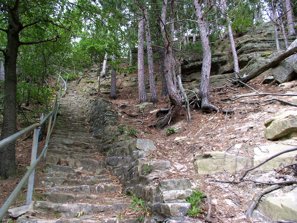 Stairs built by the Works Progress Administration up Mill Bluff