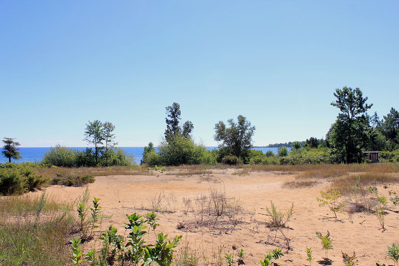 Newport State Park - View towards water