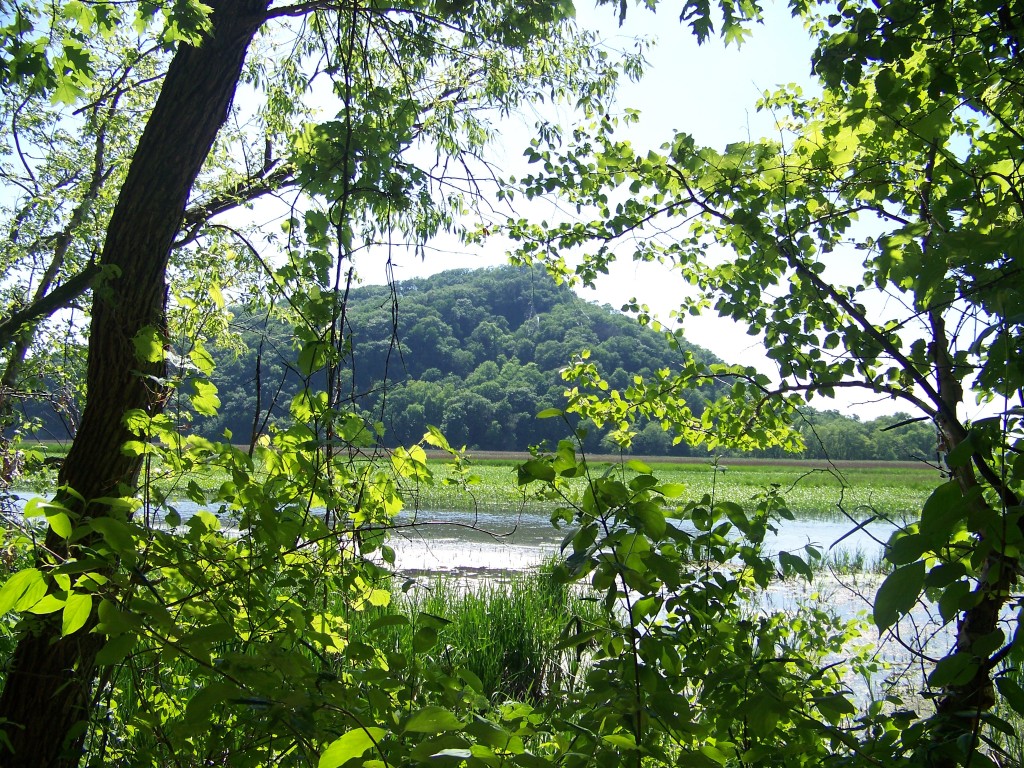 Trempealeau Mountain in the Mississippi River seen from park
