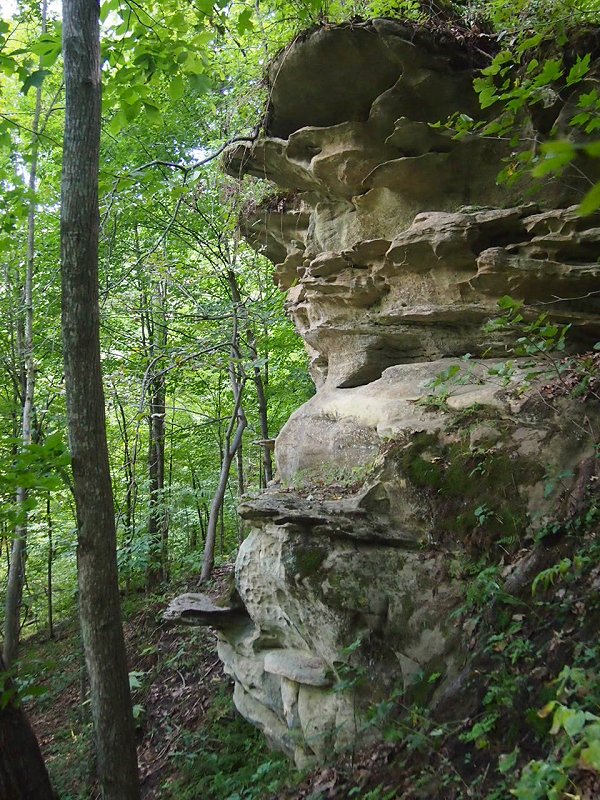 A sandstone outcrop on the flanks of Mount Pisgah